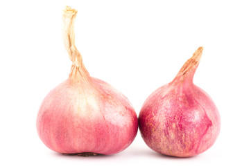 Fototapeta premium Fresh shallot