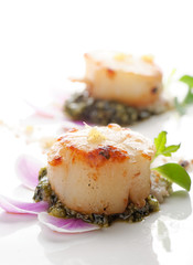 Scallops shells with thai basil pesto © Visionsi