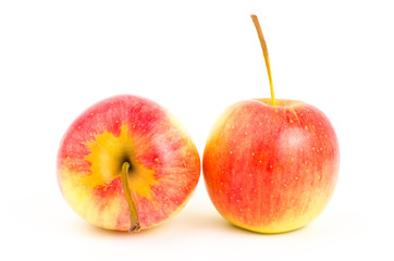 Fresh apple fruit