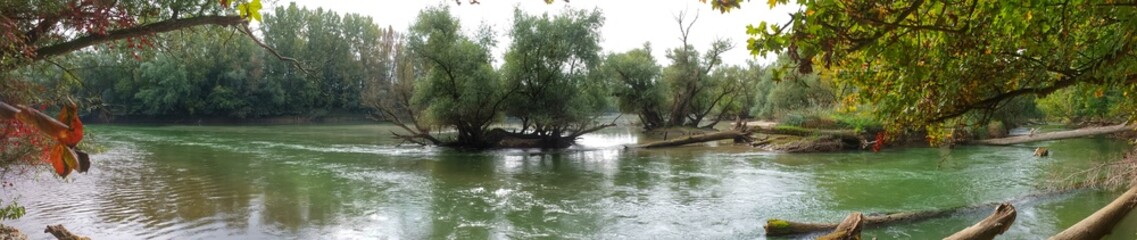 Wildnis am Altrheinarm