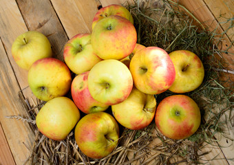 apples to make cider