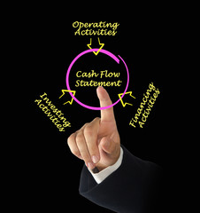 Cash Flow Statement