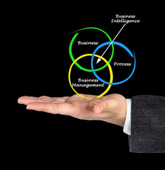 Fototapeta premium Business Intelligence