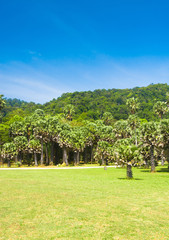 Serene View Blue Landscape