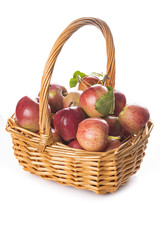 Cesta con manzanas aislada sobre fondo blanco agricultura