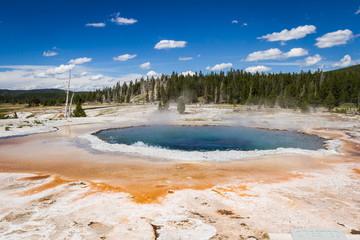 geyser landscape