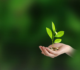 Investing to green business