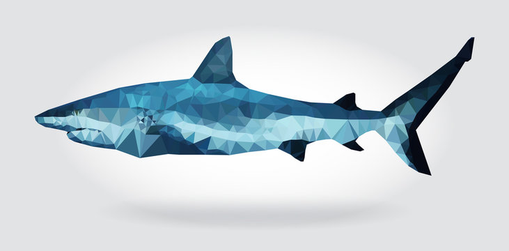 Shark body vector isolated geometric modern illustration