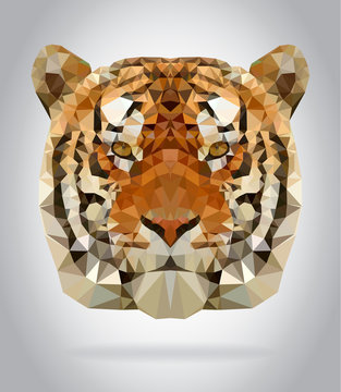 Tiger head vector isolated geometric illustration