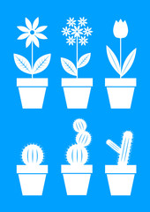 White flower icons on blue background