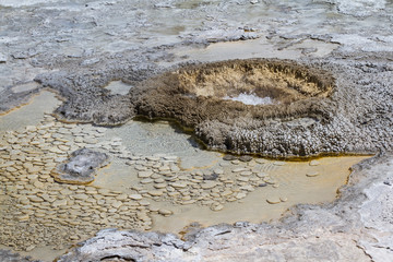 geyser in yellowstone
