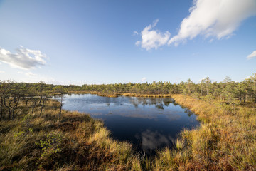 Autumn lake with reflections of trees