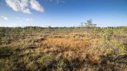 landscape under morning sky with clouds