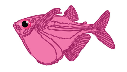 pink fish cartoon