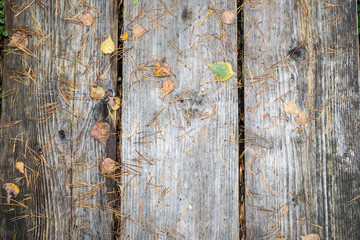 old wooden planks covered with leaves