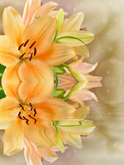 Fototapeta na wymiar Kwitnące lilie