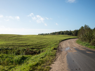Fototapeta premium beautiful freshly cultivated green crop field