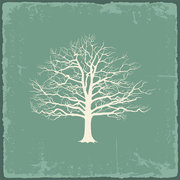 Old bare tree on vintage paper. Vector illustration