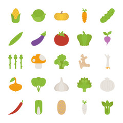 Vegetables  icons , flat design