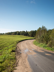 beautiful freshly cultivated green crop field
