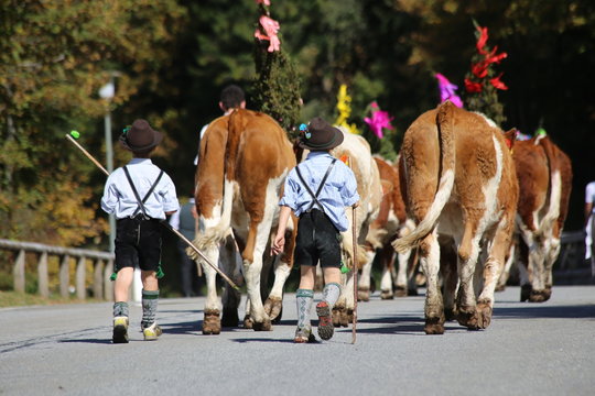 Almabtrieb in Bayern
