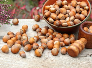 haselnüsse