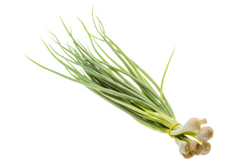 Green onion
