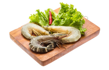 King and waterleg shrimps