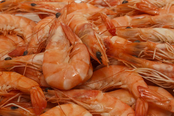 Fresh Prawns (Shrimps)