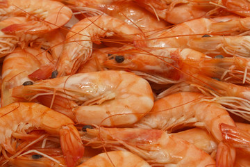 Fresh Prawns (Shrimps) seafood