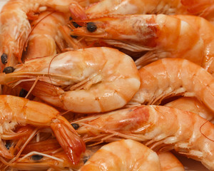 Fresh Prawns (Shrimps) seafood