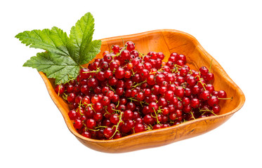 Red currant