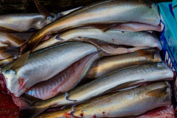 Cleaning the fresh catch