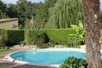 jardin exotique et piscine circulaire