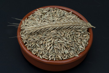 Roggenaehre; Roggen; Roggenaehren; Secale; Cereale;