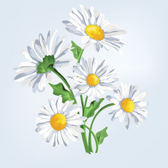 Bouquet camomile. Greeting card with flowers in pastel colors.Ca