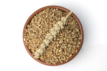 Weizenkoerner, Weizen, Triticum, aestivum,