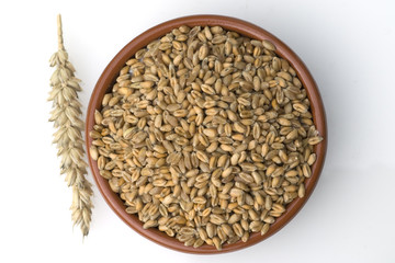 Weizenkoerner, Weizen, Triticum, aestivum,
