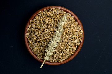 Weizenkoerner, Weizen, Triticum, aestivum,