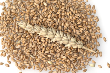 Weizenkoerner, Weizen, Triticum, aestivum,