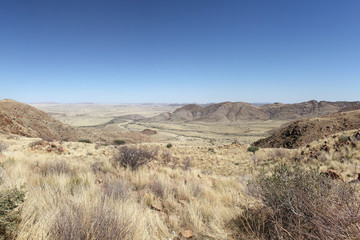 Safari in Africa