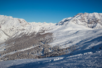 Fototapeta premium winter in Alps