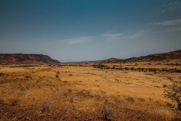 Safari in Africa