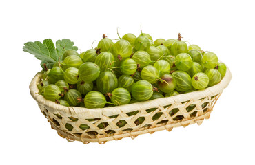 Gooseberry