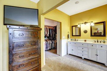 Room with vanity cabinet and walk-in closet
