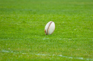 Balón de rugby