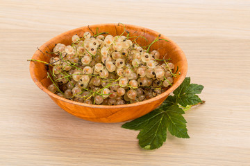 White currant