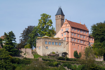 Fototapeta na wymiar Burg Hirschhorn