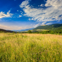 Fototapeta premium field near home in mountains