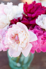 fresh peonies